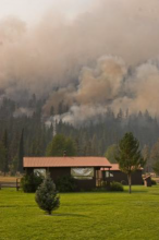 Fire-adapted Communities Fire-adapted Communities