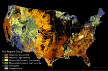 Figure 3.2. Historical fire regime group values in areas currently dominated by natural vegetation. Figure 3.2. Historical fire regime group values in areas currently dominated by natural vegetation.