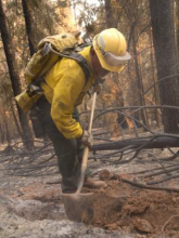 Wildfire Response Wildfire Response
